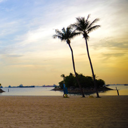 病毒防护的手机号在线轰炸