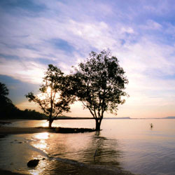 【视频使用教程】新手入门的在线电话测压